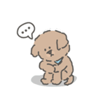 トイプードルのアンディ LINE公認コラボ（個別スタンプ：14）