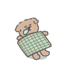 トイプードルのアンディ LINE公認コラボ（個別スタンプ：19）