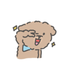 トイプードルのアンディ LINE公認コラボ（個別スタンプ：20）