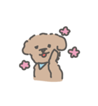 トイプードルのアンディ LINE公認コラボ（個別スタンプ：22）