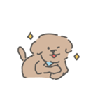 トイプードルのアンディ LINE公認コラボ（個別スタンプ：23）