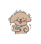 トイプードルのアンディ LINE公認コラボ（個別スタンプ：24）