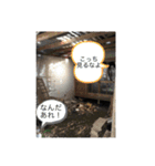 人生を諦めない者たち（個別スタンプ：9）