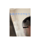 人生を諦めない者たち（個別スタンプ：29）