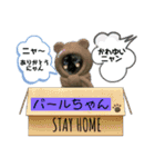 キジトラ、シャム、の気持ち、風景、言葉（個別スタンプ：5）