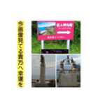 キジトラ、シャム、の気持ち、風景、言葉（個別スタンプ：15）
