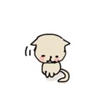 生きた英語日常使いできるスタンプwithねこ（個別スタンプ：20）