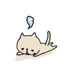 生きた英語日常使いできるスタンプwithねこ（個別スタンプ：27）