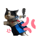 齋藤家スタンプ（猫、父、母）（個別スタンプ：6）
