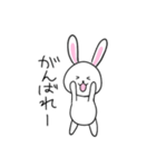 【日常編】うさちゃんスタンプ（個別スタンプ：20）