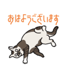 ねこのはちこ #2（個別スタンプ：1）