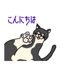 ねこのはちこ #2（個別スタンプ：2）