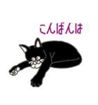 ねこのはちこ #2（個別スタンプ：3）