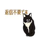 ねこのはちこ #2（個別スタンプ：10）