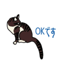 ねこのはちこ #2（個別スタンプ：11）