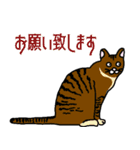 ねこのはちこ #2（個別スタンプ：16）