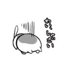 わい、ねこ2（個別スタンプ：16）