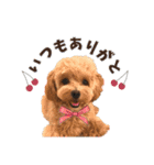 KURUMIKKOすたんぷ（個別スタンプ：1）