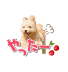 KURUMIKKOすたんぷ（個別スタンプ：2）