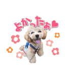 KURUMIKKOすたんぷ（個別スタンプ：3）