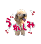KURUMIKKOすたんぷ（個別スタンプ：4）