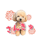 KURUMIKKOすたんぷ（個別スタンプ：5）