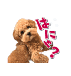 KURUMIKKOすたんぷ（個別スタンプ：10）