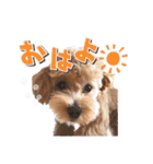 KURUMIKKOすたんぷ（個別スタンプ：11）