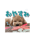 KURUMIKKOすたんぷ（個別スタンプ：12）