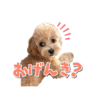 KURUMIKKOすたんぷ（個別スタンプ：13）