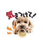 KURUMIKKOすたんぷ（個別スタンプ：14）