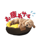KURUMIKKOすたんぷ（個別スタンプ：15）