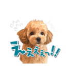 KURUMIKKOすたんぷ（個別スタンプ：17）