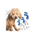 KURUMIKKOすたんぷ（個別スタンプ：18）
