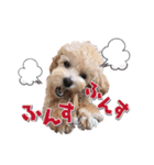 KURUMIKKOすたんぷ（個別スタンプ：20）