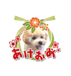 KURUMIKKOすたんぷ（個別スタンプ：24）