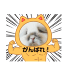 うさカフェりび 全員集合3（個別スタンプ：2）