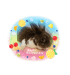 うさカフェりび 全員集合3（個別スタンプ：3）