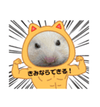 うさカフェりび 全員集合3（個別スタンプ：5）