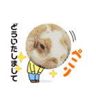 うさカフェりび 全員集合3（個別スタンプ：14）