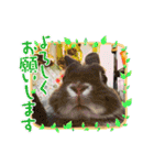 うさカフェりび 全員集合3（個別スタンプ：17）