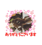 うさカフェりび 全員集合3（個別スタンプ：18）