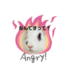 うさカフェりび 全員集合3（個別スタンプ：19）