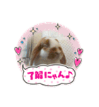 うさカフェりび 全員集合3（個別スタンプ：20）