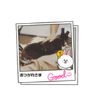 うさカフェりび 全員集合3（個別スタンプ：22）