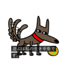 字幕犬（個別スタンプ：3）