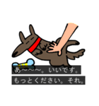 字幕犬（個別スタンプ：13）