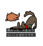 字幕犬（個別スタンプ：15）