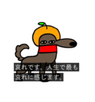 字幕犬（個別スタンプ：24）