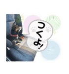 黒豆柴あんこ3415（個別スタンプ：10）